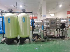 涂料廠4噸反滲透純凈水設